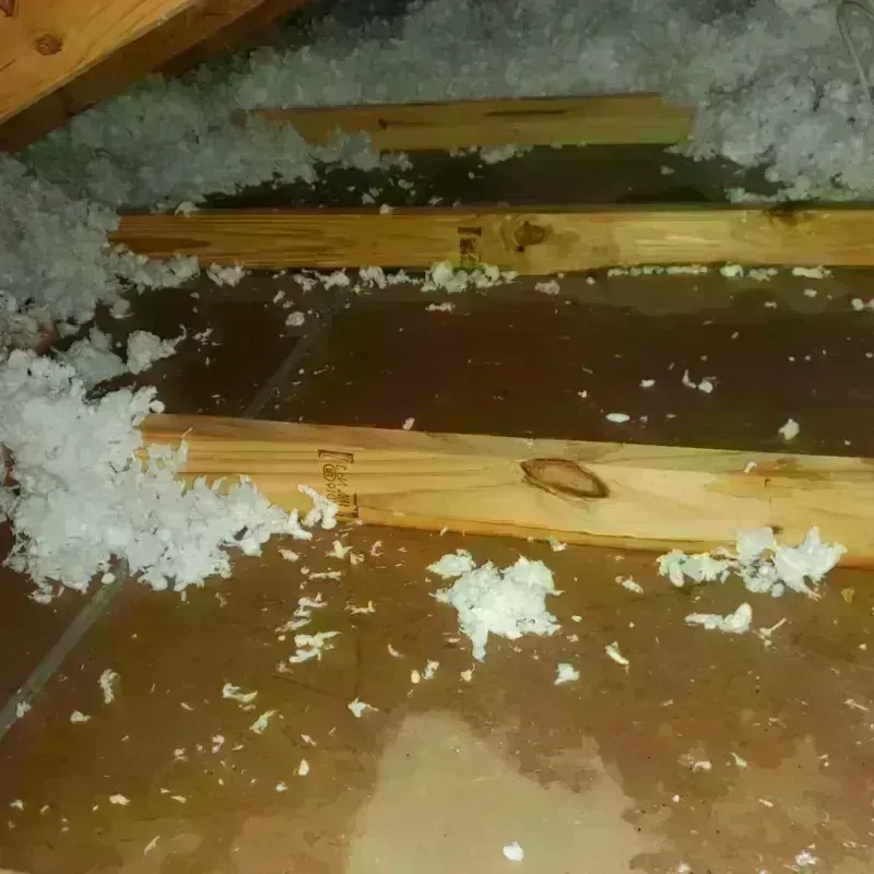 Attic Water Damage in Rock Hall, MD