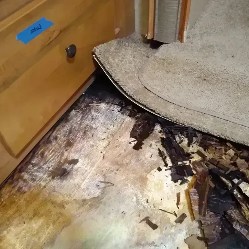 Wood Floor Water Damage in Rock Hall, MD